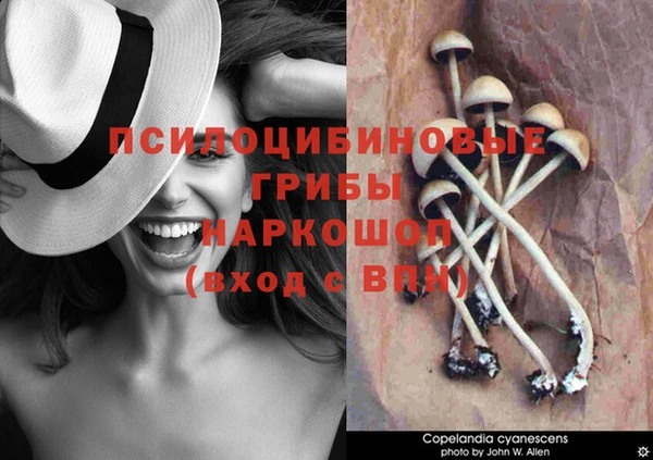 ALPHA PVP Алексеевка