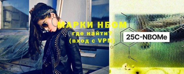 хмурый Алзамай